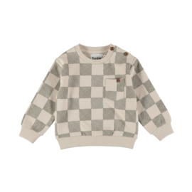 GEBLOKTE SWEATER, SKATOR GATOR