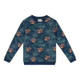SWEATER PETROL