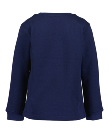 KERSTTRUI BLAUW