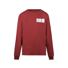 LONGSLEEVE 089, STEENROOD