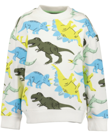 SWEATER IVOOR AOP, DINO