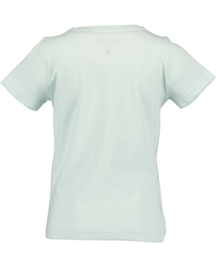 SHIRT LICHT MINT, PAARDEN