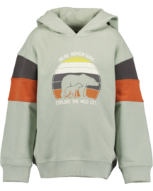 HOODIE IJSGROEN, BEAR