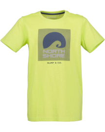 SHIRT MET PRINT, GROEN
