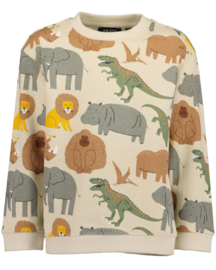 SWEATER ZAND, SAFARI