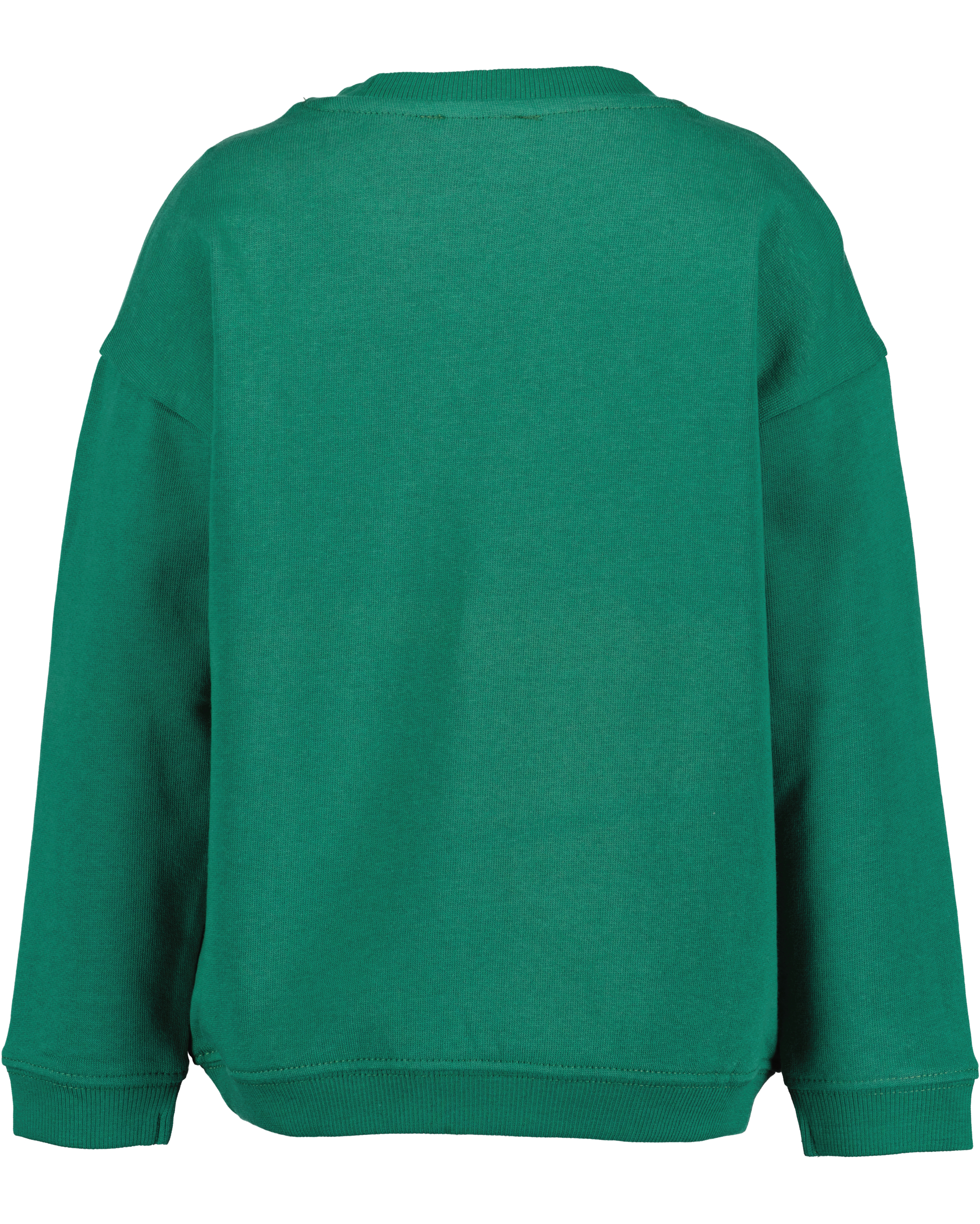 SWEATER VEHICLES, GROEN