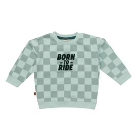 SWEATER GEBLOKT, LITTLE RACER