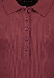LONGSLEEVE MET POLOKRAAG, AUBERGINE