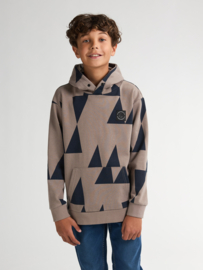 HOODIE GRAFISCHE PRINT, DUSTY BROWN