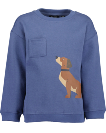 SWEATER BLAUW, DOGS