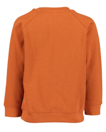 SWEATER CAMEL, BEAR
