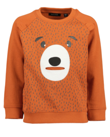 SWEATER CAMEL, BEAR