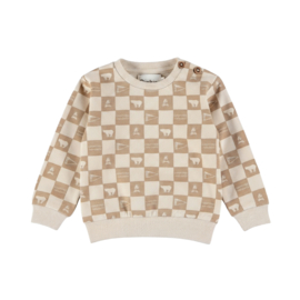 GEBLOKTE SWEATER, OUTDOORS