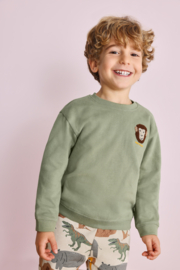 SWEATER GROEN, SAFARI