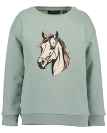 SWEATER HORSES, AQUABLAUW