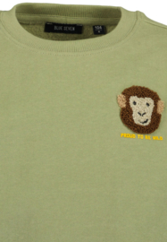 SWEATER GROEN, SAFARI