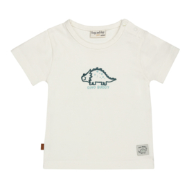 SHIRT IVOOR MET DINO PRINT, NICE TEAM