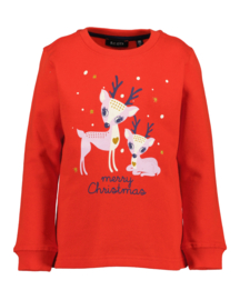 KERSTTRUI ROOD