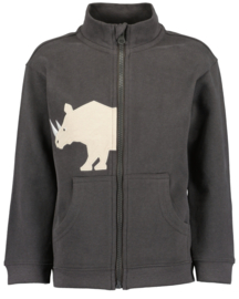 VEST ANTRACIET, SAFARI