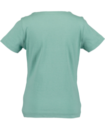 SHIRT MINT, PAARDEN