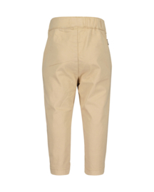 CHINO CAMEL, FESTIVE