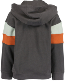 HOODIE ANTRACIET, BEAR