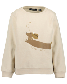SWEATER ZAND, DOGS