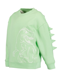SWEATER LICHT GROEN, DINO