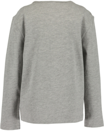 LONGSLEEVE GRIJS, DOGS