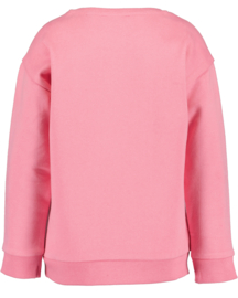 SWEATER HORSES, ROZE