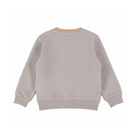 SWEATER GRIJS, OUTDOORS