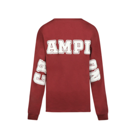 LONGSLEEVE 089, STEENROOD