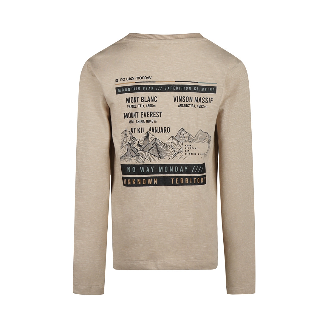 LONGSLEEVE, LICHT GRIJS