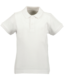 POLO WIT, BASICS
