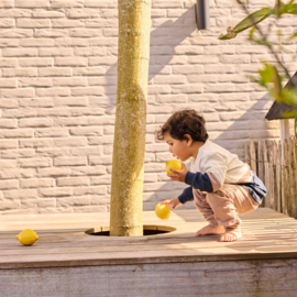 2-DELIGE SET, SUNSET