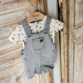 TUINBROEKJE GRIJS DENIM, SKY RIDER