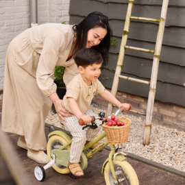 SHIRT MET PALMBOOMPJE, PARADISE