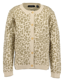 VEST ZAND, CATS
