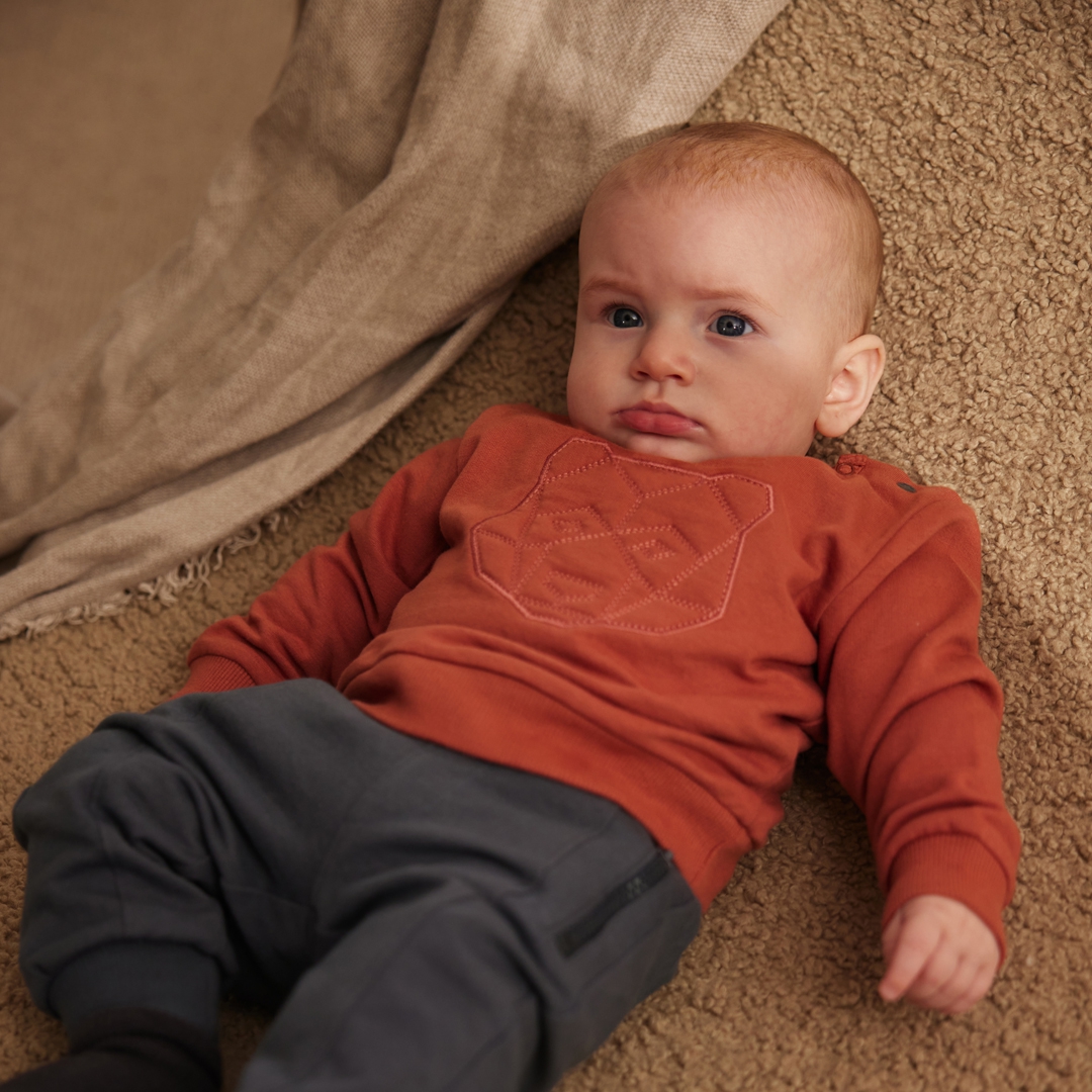SWEATER WILDLAND, ROESTBRUIN
