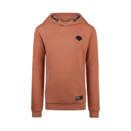 HOODIE, BRUIN
