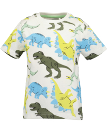 SHIRT IVOOR AOP, DINO