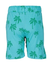KORTE BROEK PALM ZEEGROEN, ESSENTIELS