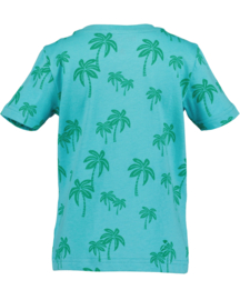 SHIRT PALM ZEEGROEN, ESSENTIELS