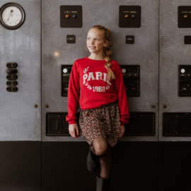 SWEATER, ROOD