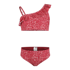 BIKINI, ROOD