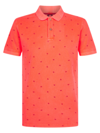 POLO KREEFT, FIERY CORAL