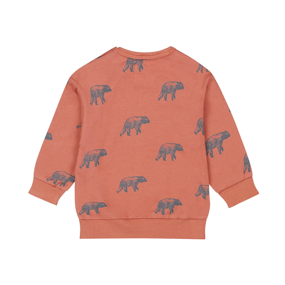 SWEATER WILDLAND, ROESTBRUIN