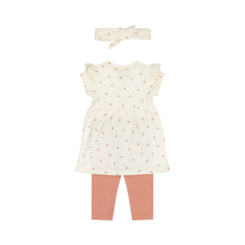 3-DELIGE SET, LADY BUG