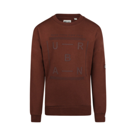 SWEATER, BRUIN