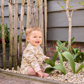 KORTE BROEK GEBLOKT, SAFARI TRIP